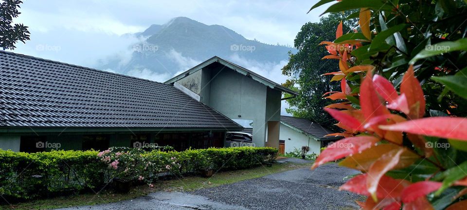 Cottage in a misty mount field