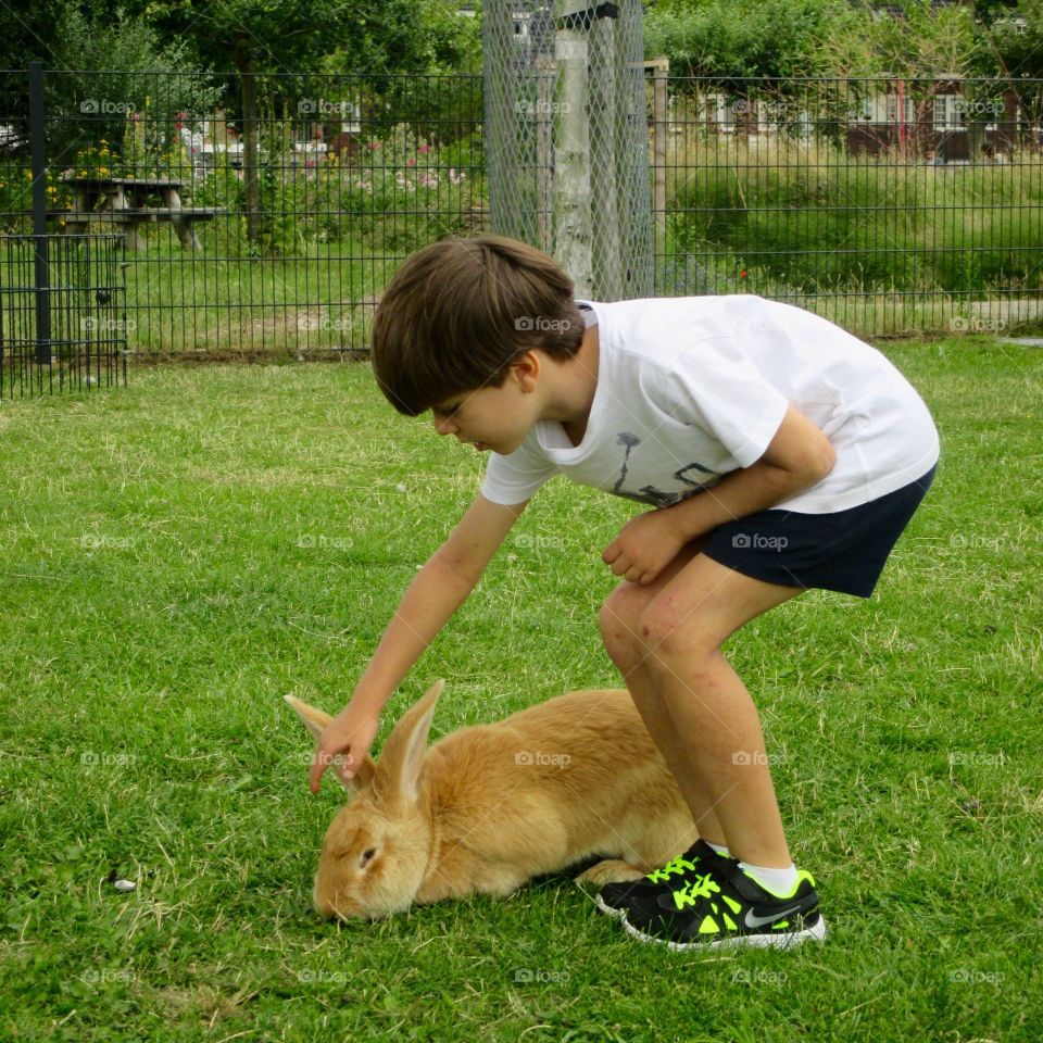 Cute bunny with a child