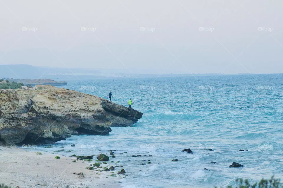 sea shores 