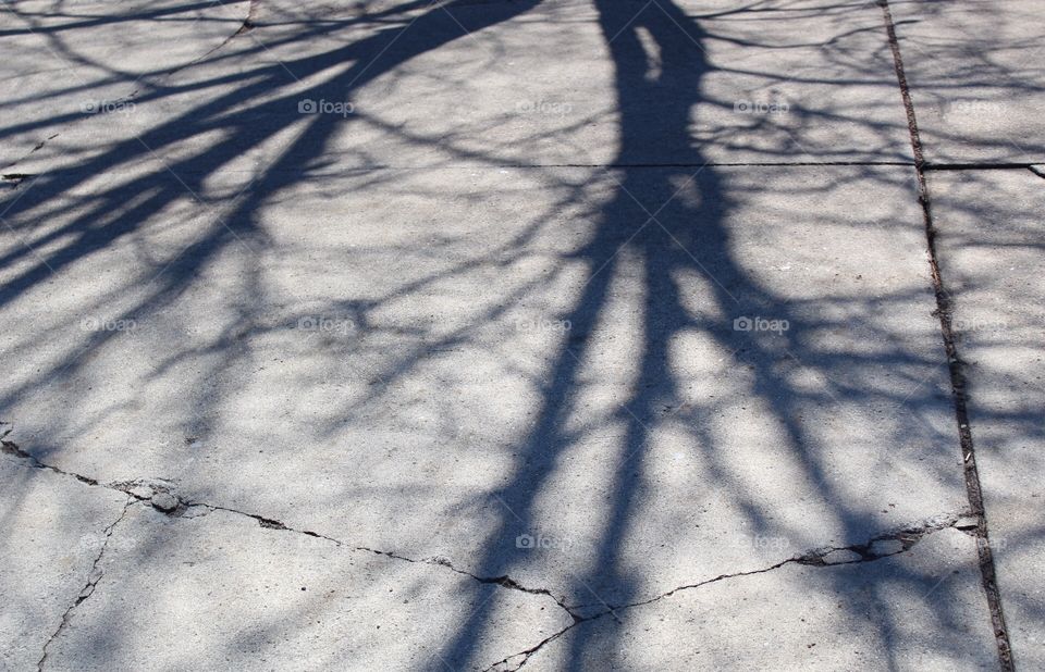 The shadow of a large tree is present on the hot summer pavement. 