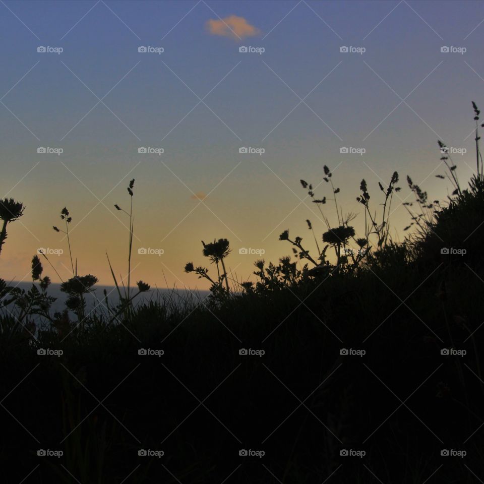 Silhouettes captured with a Cornish sunset