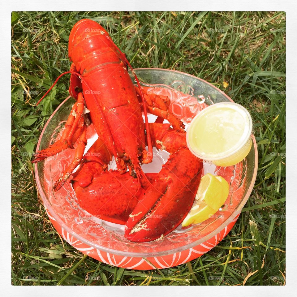 Lobster meals
