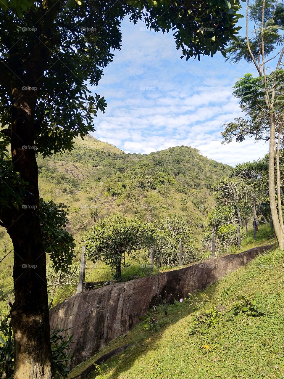 Sri Lanka Point de vue