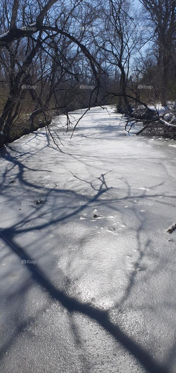 Frozen Lake in Dallas Texas