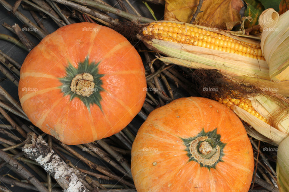 Vegetables, Halloween, pumpkin, corn, harvest, fertility, agriculture, food, cones, forest, birch branches