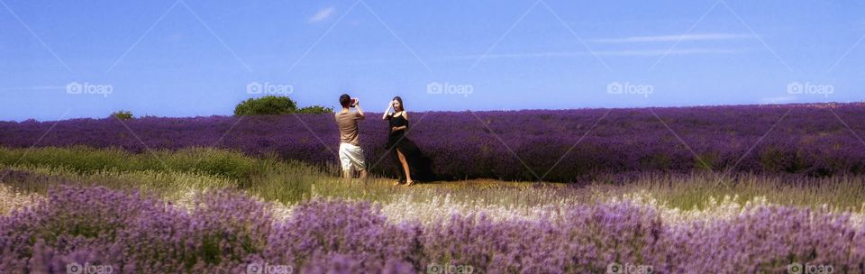 Lavender. Couple