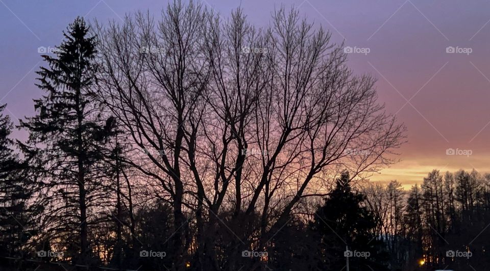 Purple Sunset in the background after a snow blizzard in Winter 