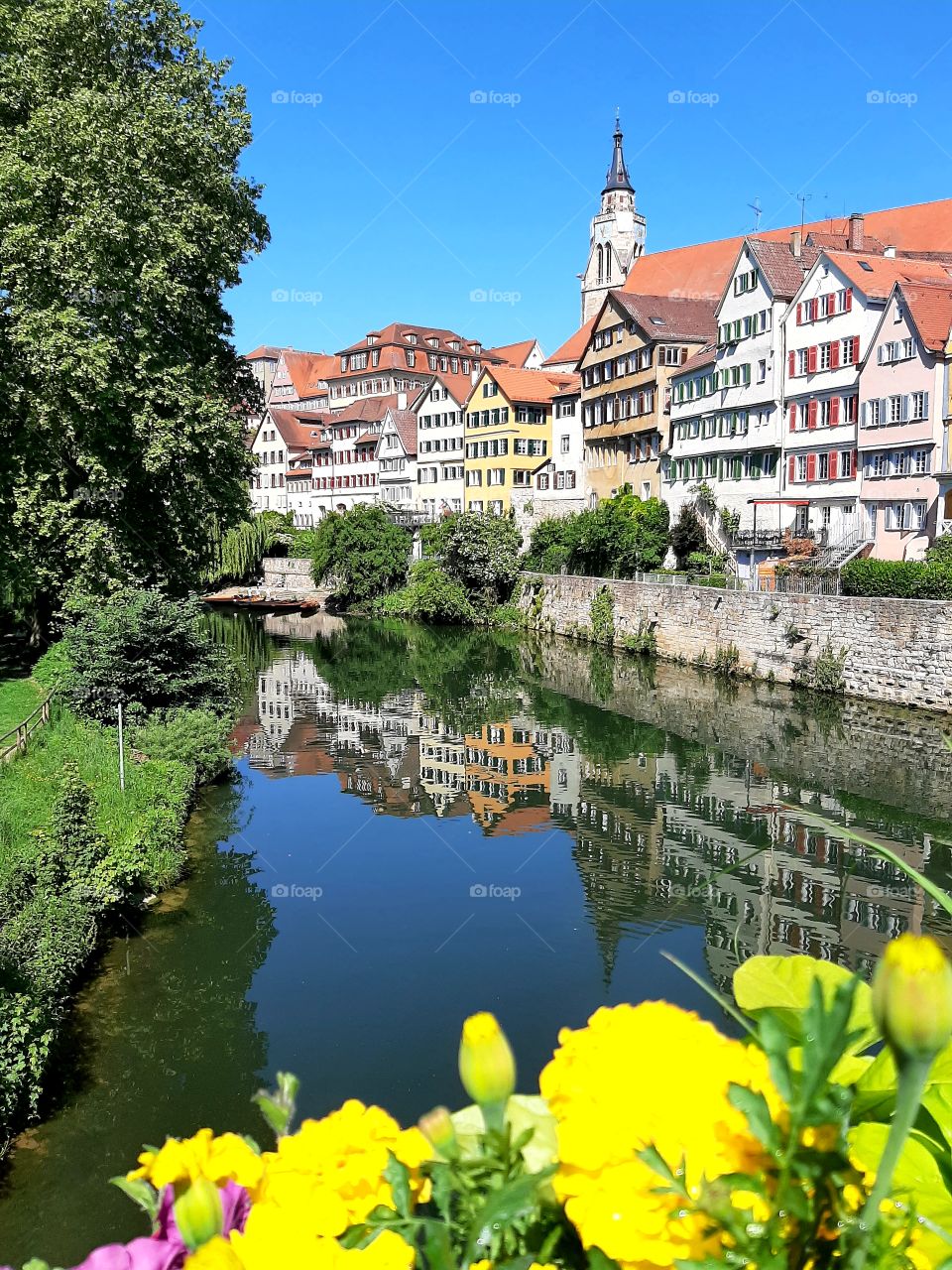 Tübingen im Frühling