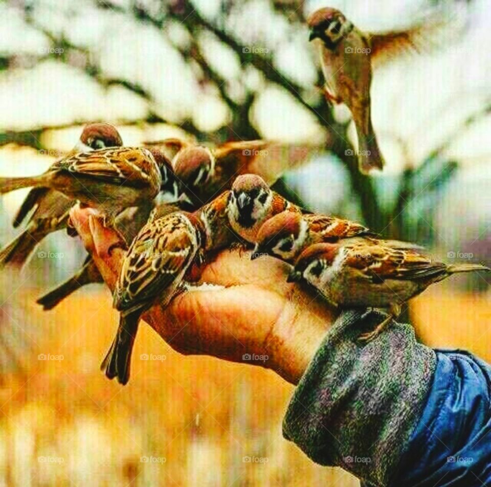 💲💲💲💲💲💲💲💲💲💲💲💲💲