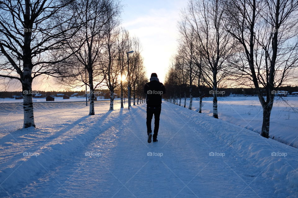 Winter, Snow, Cold, Tree, Frost