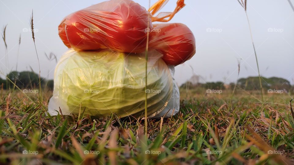 cabbage and tomato photo.