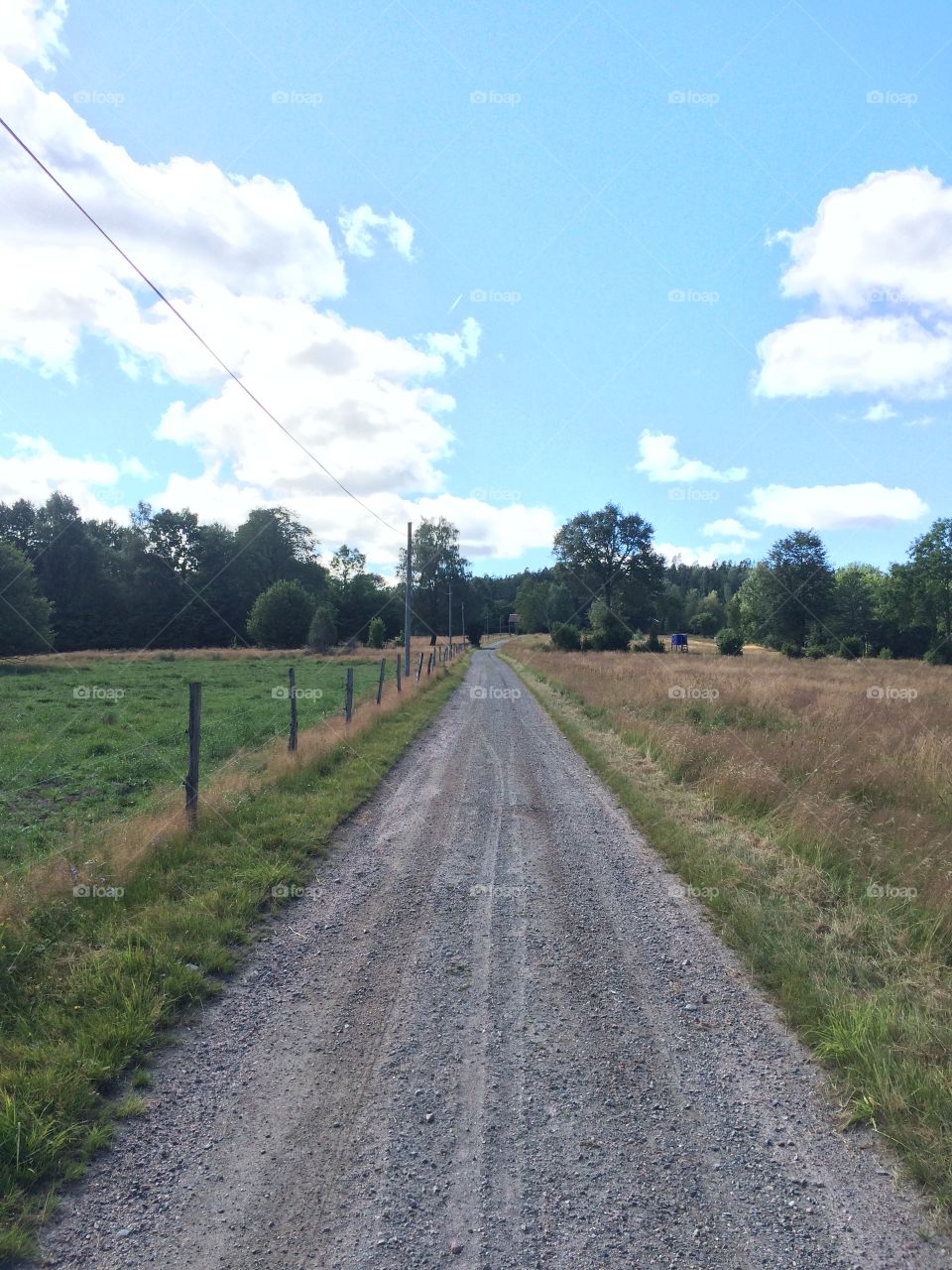 Swedish country road