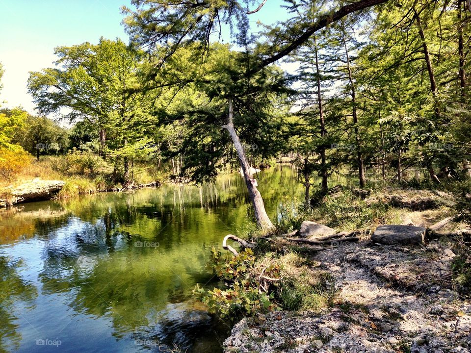 A forest creak in Texas
