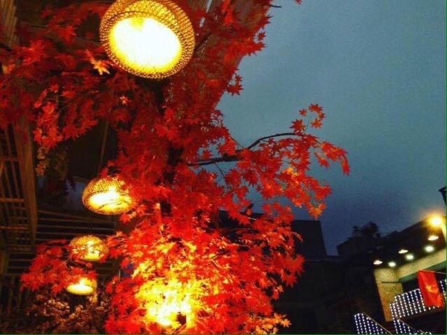 Lanterns have a beautiful in holidays. I love them!