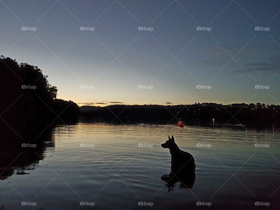 Sunset, Lake, Reflection, Water, Dawn