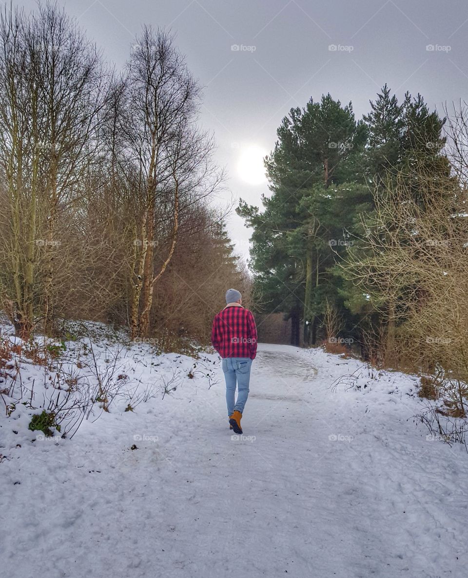 winter walk in the snow