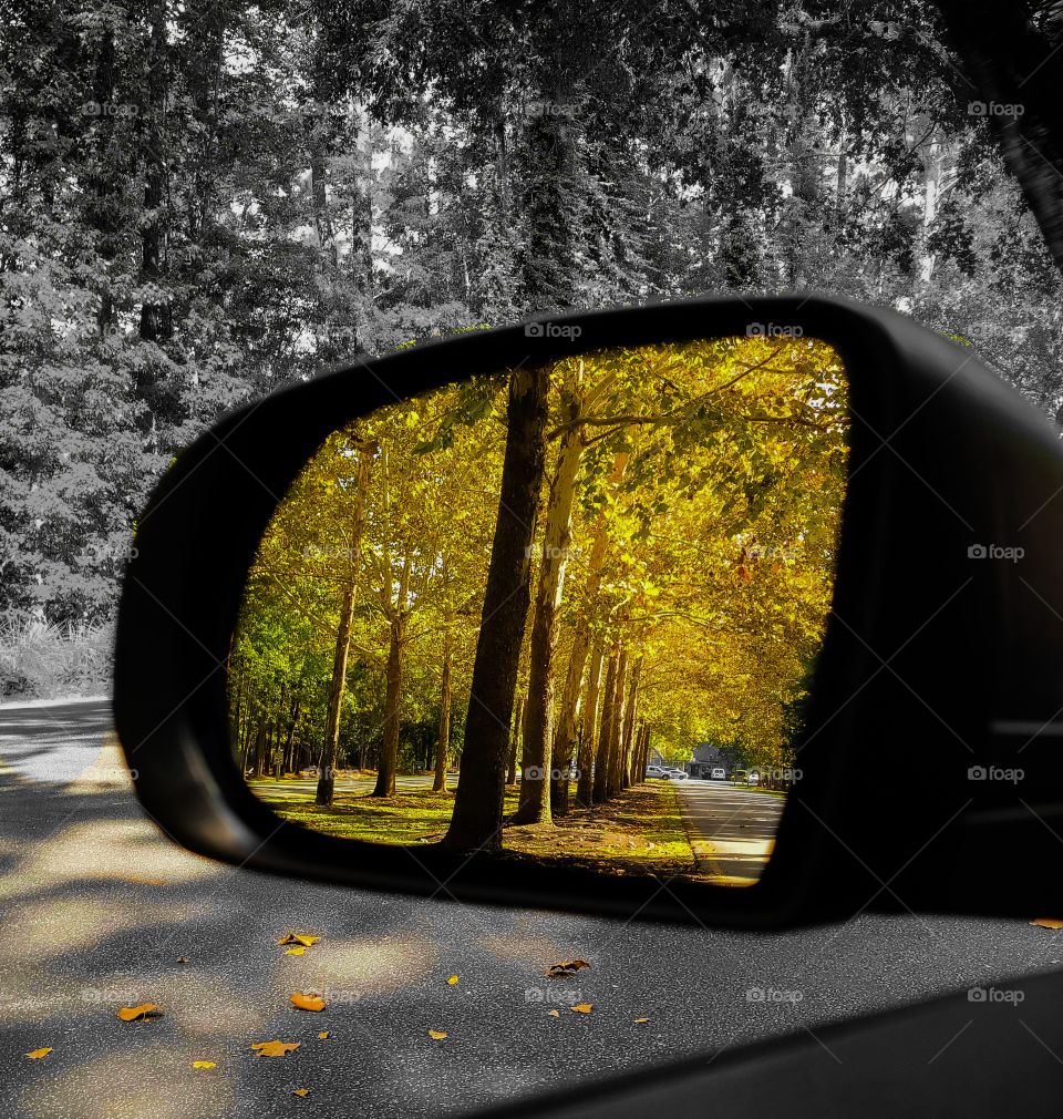 reflecting on the past