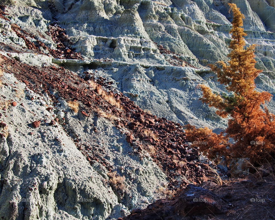 The varied fall colors of the John Day Fossil Beds in Oregon. 