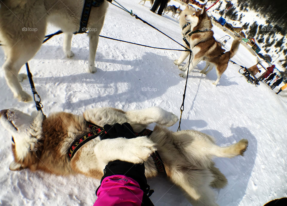 Do what you want to do with me babe, see, I put my hand on you before lead you a ride.