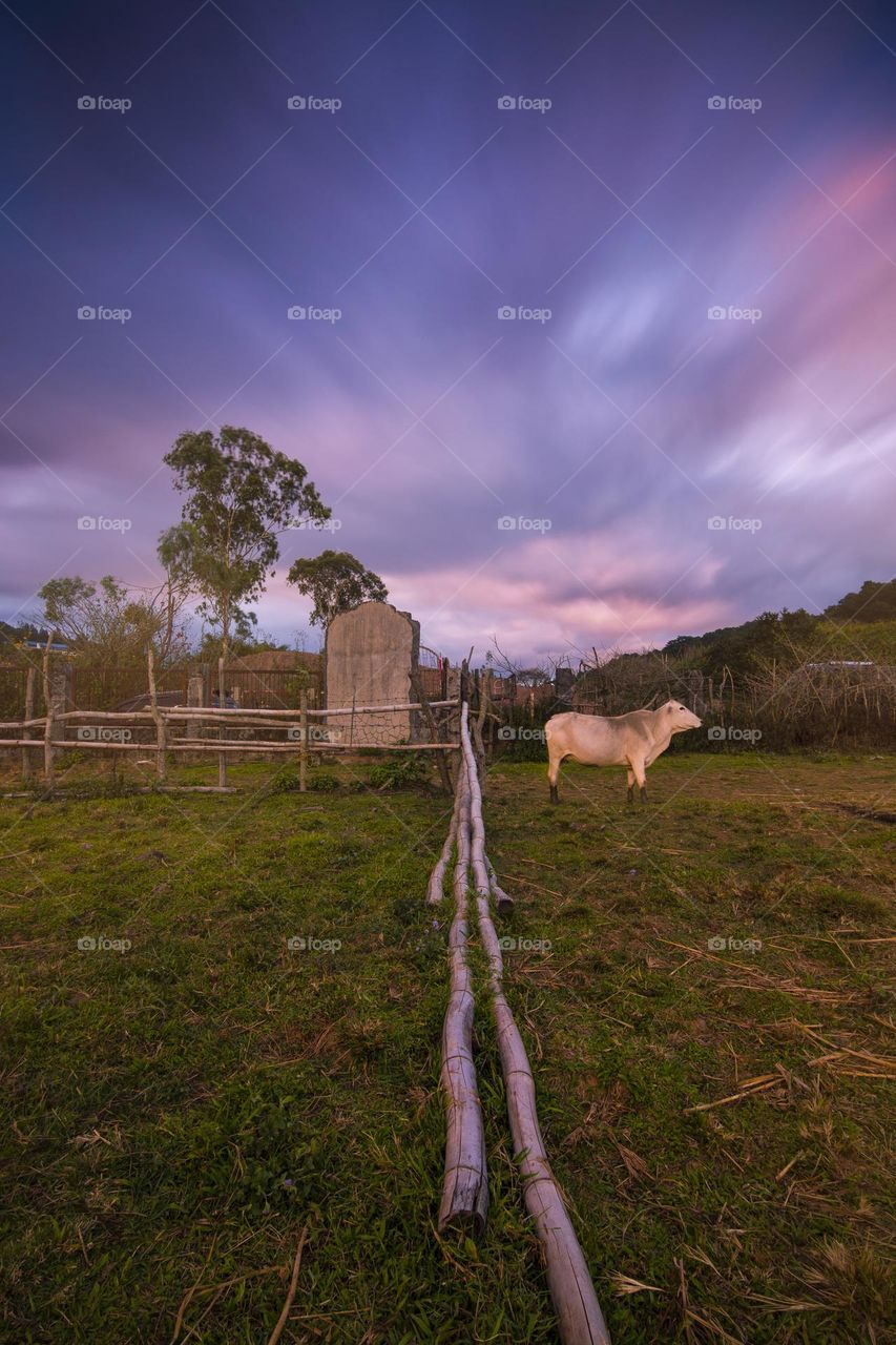 Country side in the philippines.