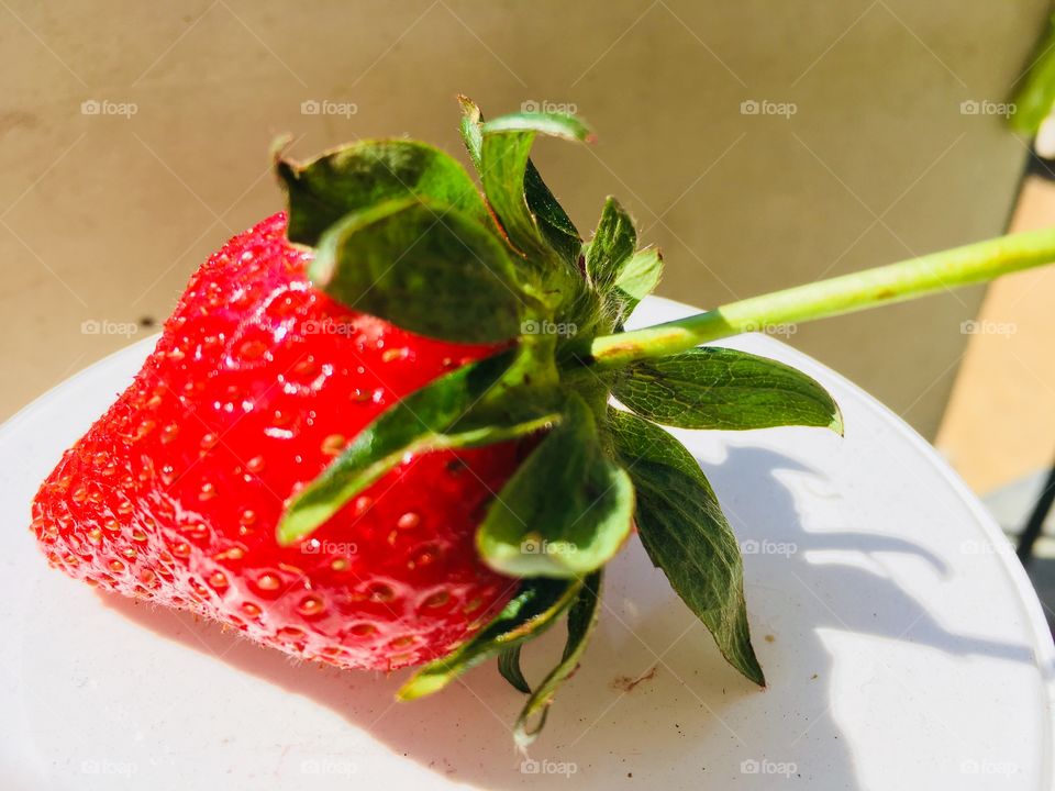 Strawberry