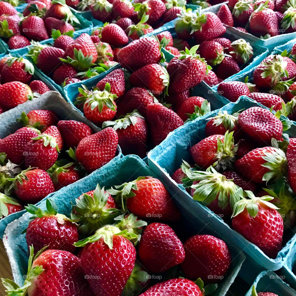 Boxes of Strawberries