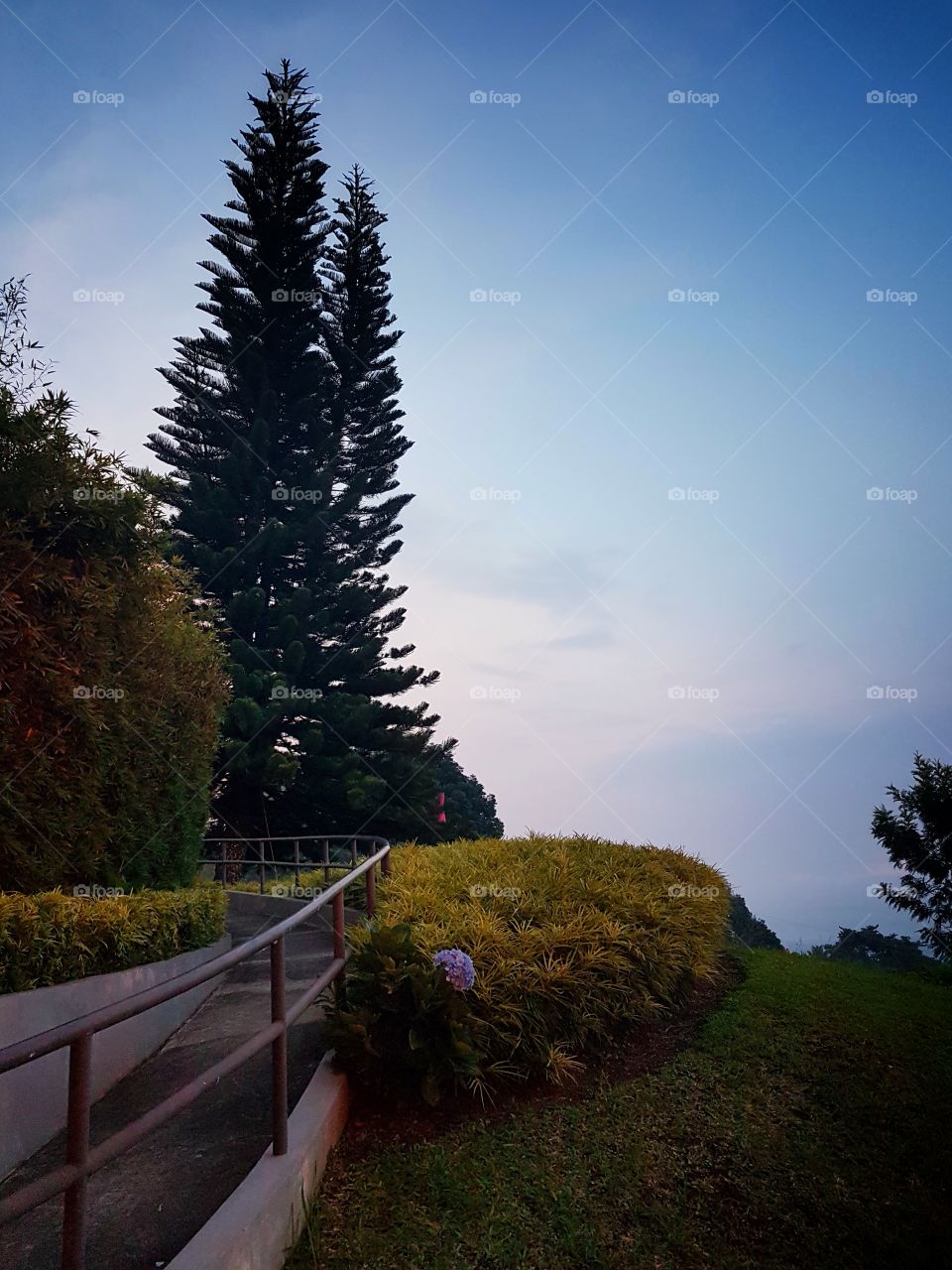 mountain park in the philippines