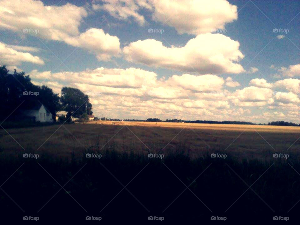 Field of dreams. corn/bean field by my house.