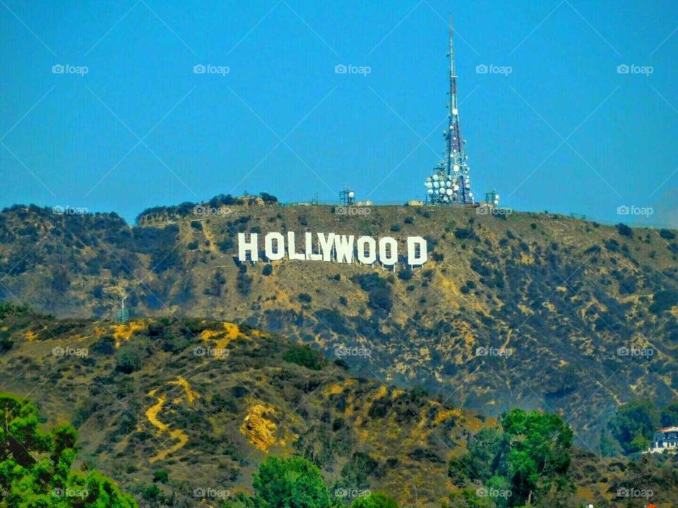 Hollywood