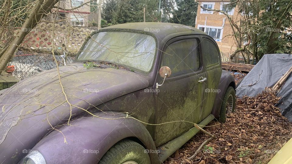 An old abandoned vintage Volkswagen Beetle covered in algae and rust 