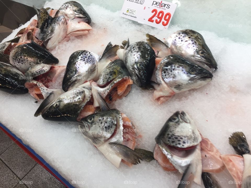 Fish at a market