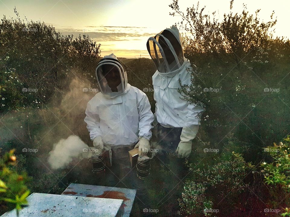 Beekeepers