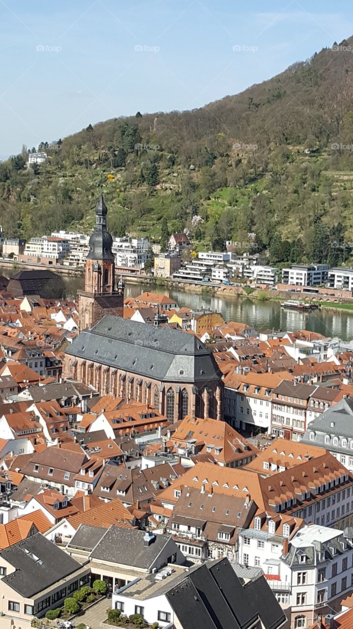 Heidelberg Rooftops