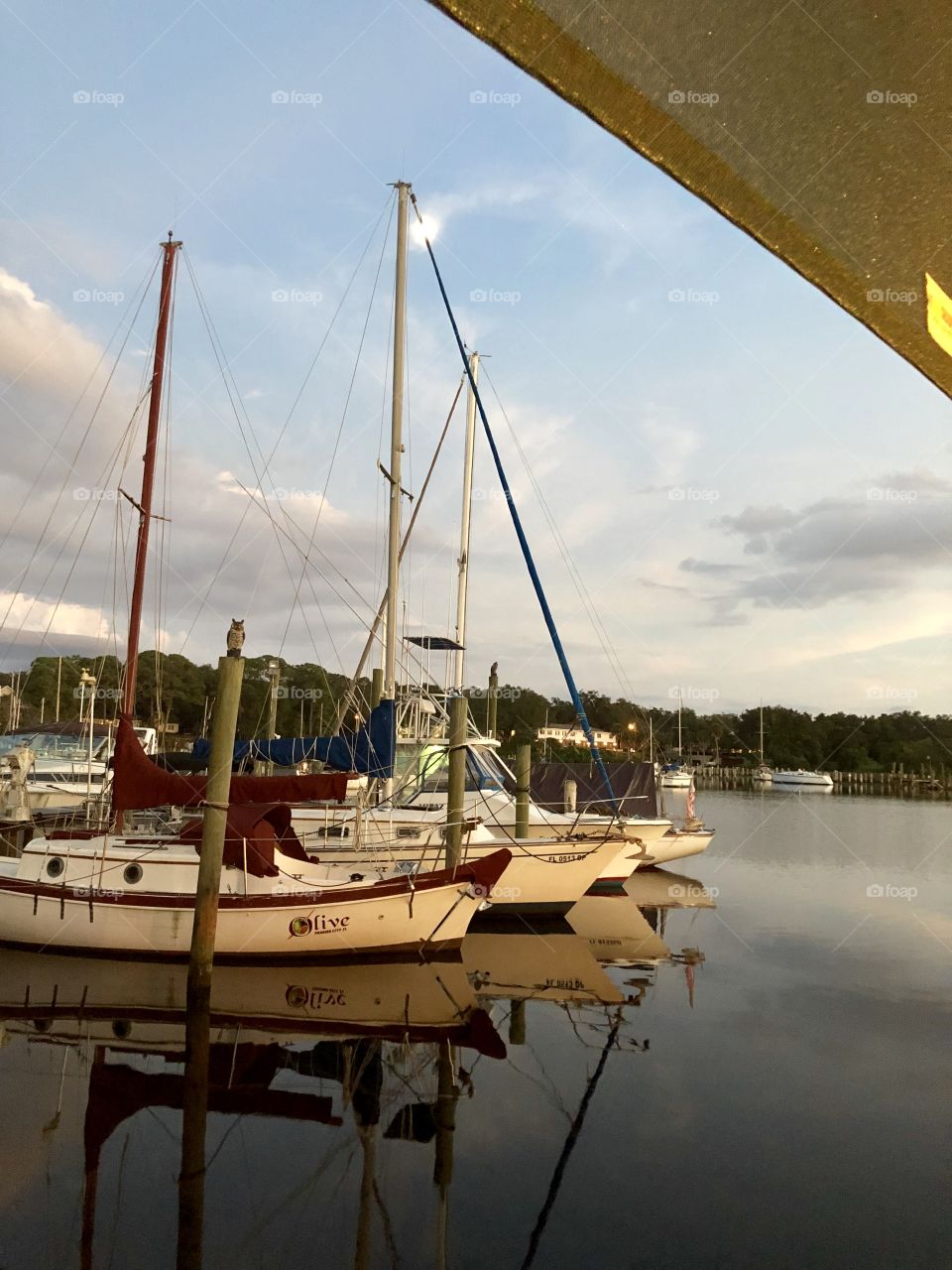 Boats in the harbor 