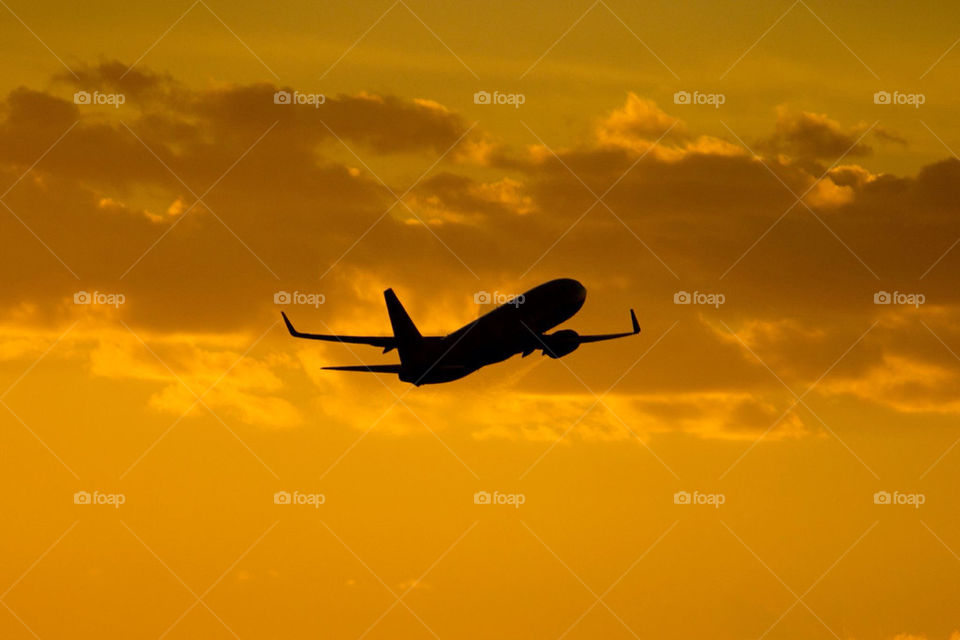 travel morning clouds airplane by ventanamedia