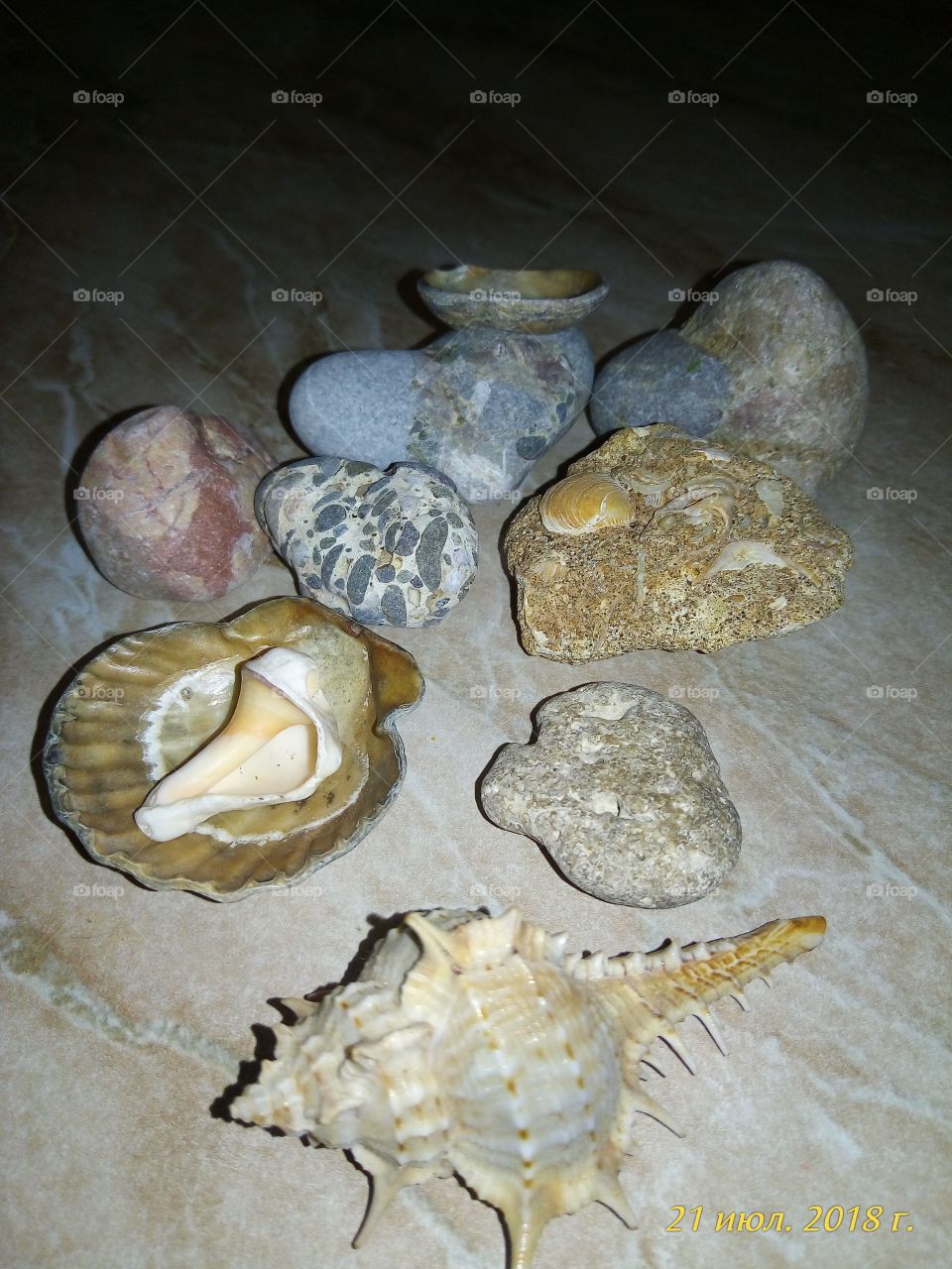 камушки.ракушки.море.отпуск.