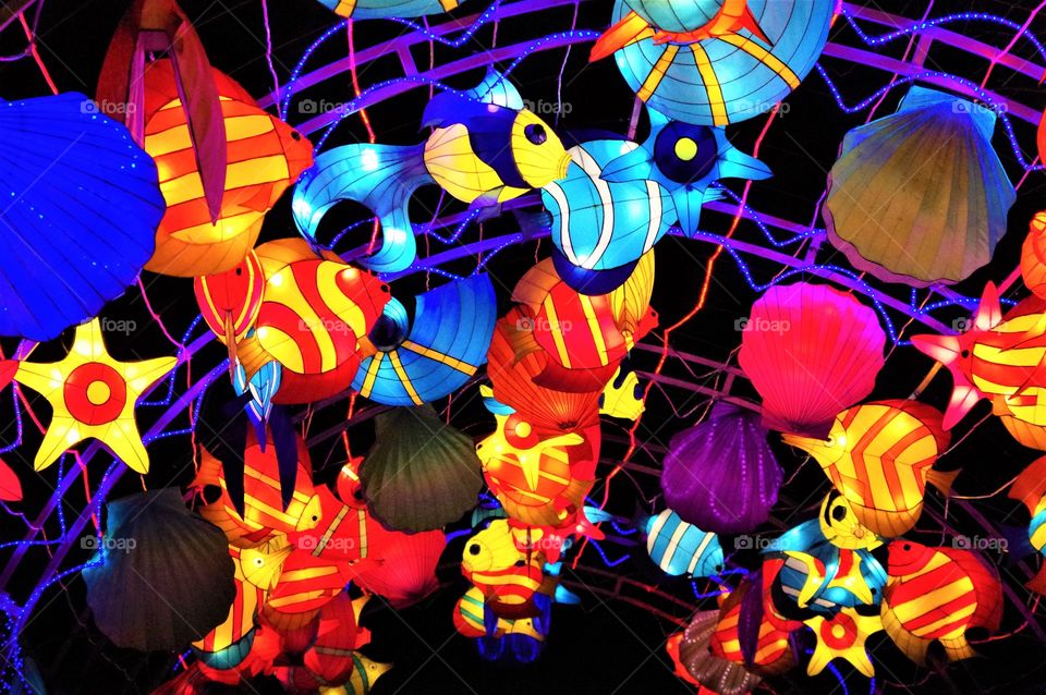 Fish - Catskill Lantern Festival 2020