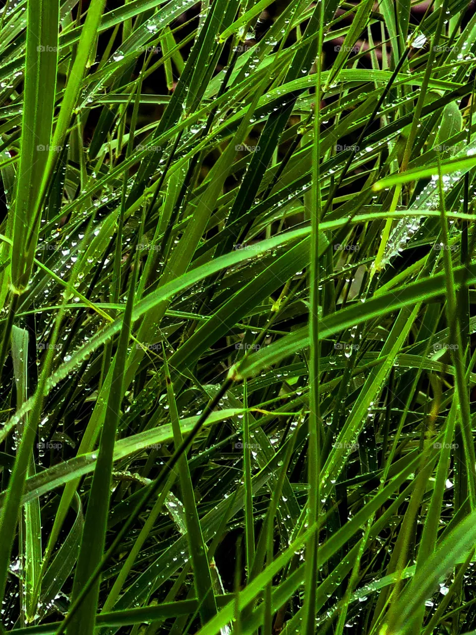 all wet