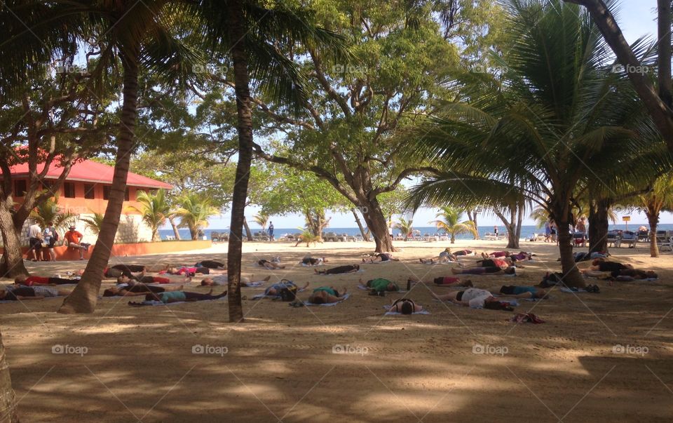 Yoga Beach palms travel