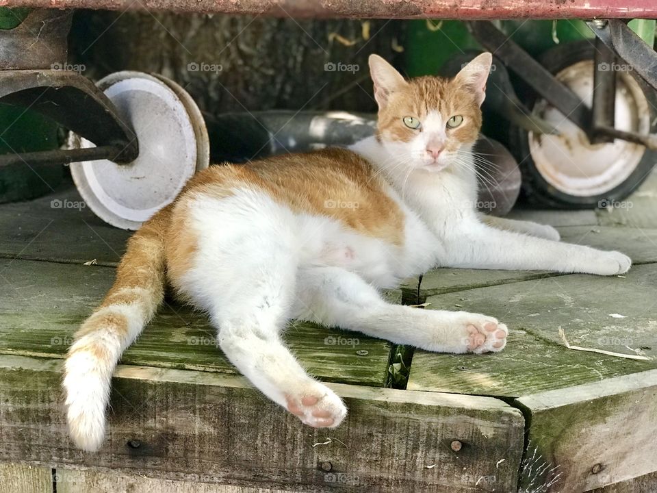 Perfect place to lay down and relax 