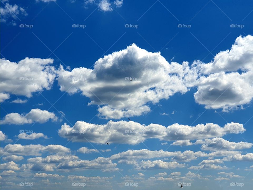 завораживающие облака со стрижами