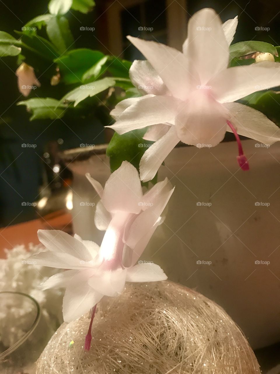 It's the most wonderful time of the year! 