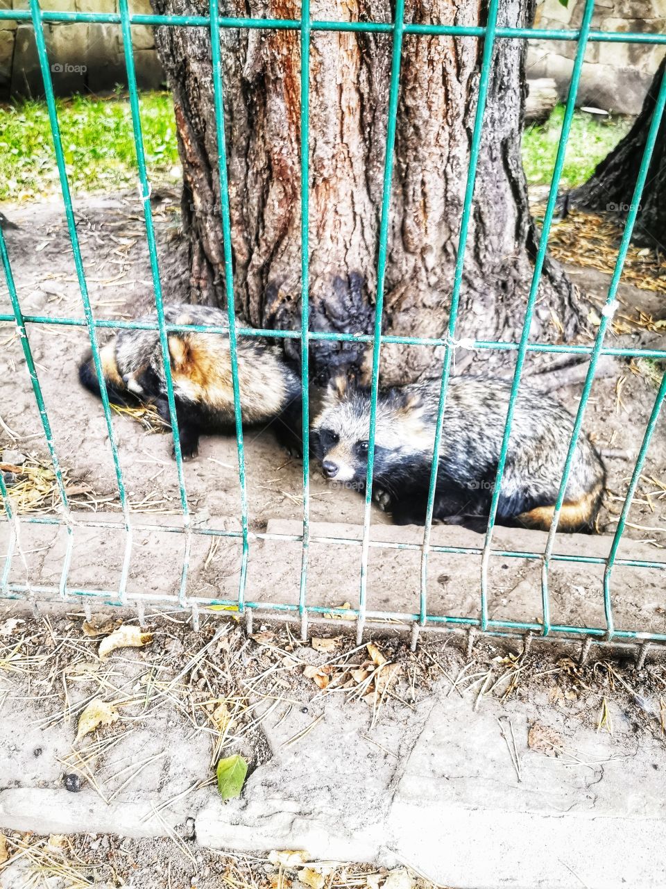 Russia view wild outside outdoor day part details capture life bus people way trip travel ongo go drive nature horizont sky skyline clouds moody