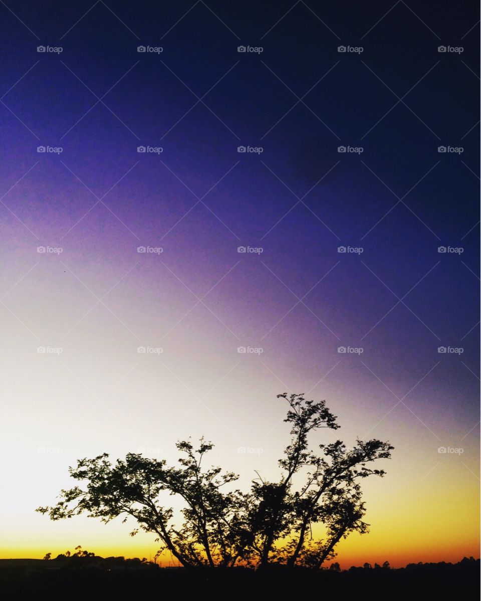 🌅Desperte, Jundiaí!
Que as #cores bonitas da #alvorada nos inspirem!
🍃
#sol #sun #sky #céu #photo #nature #morning #natureza #horizonte #fotografia #Jundiaí #paisagem #inspiração #amanhecer #mobgraphy #mobgrafia #FotografeiEmJundiaí #AmoJundiaí