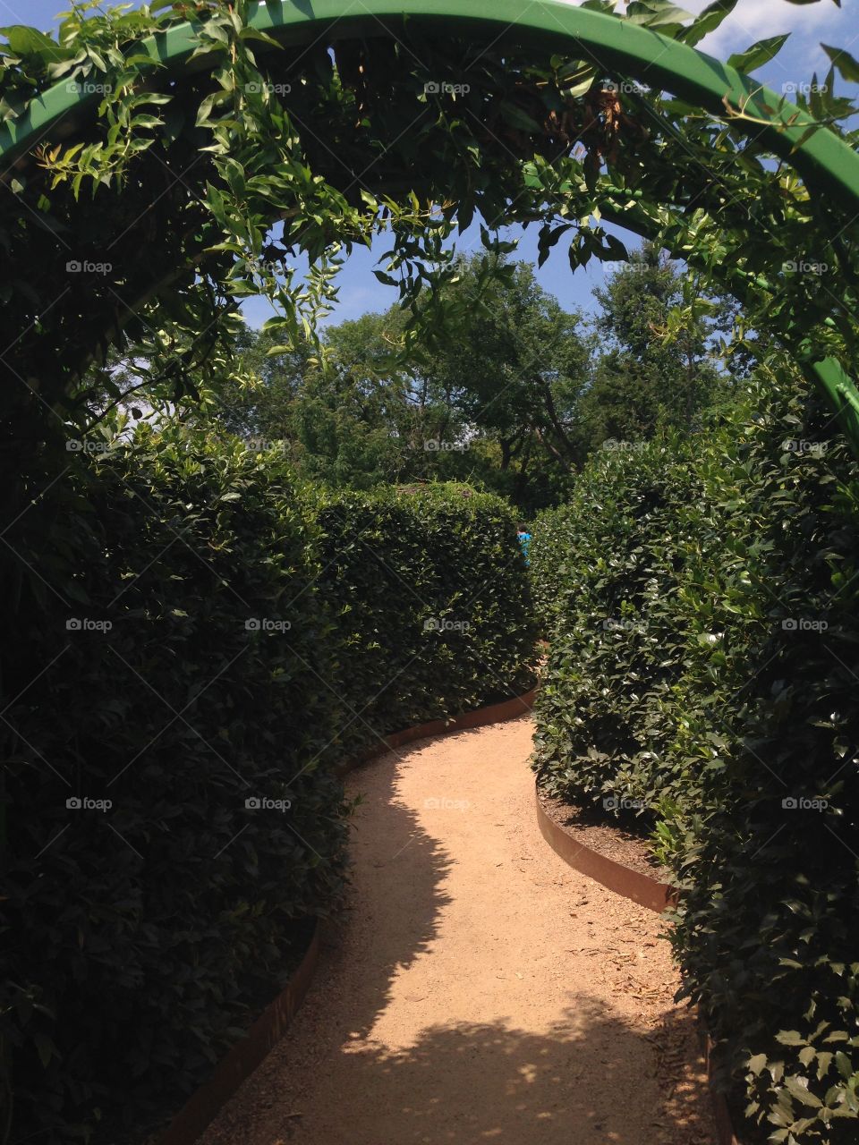 A-maze-ing . Garden maze