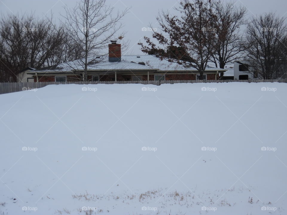 Knee deep to a grasshopper 2