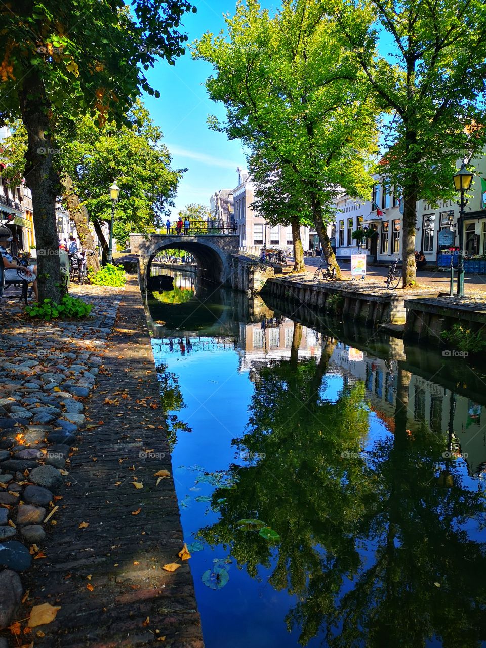 Awesome reflection of trees ina canal in Netherlands