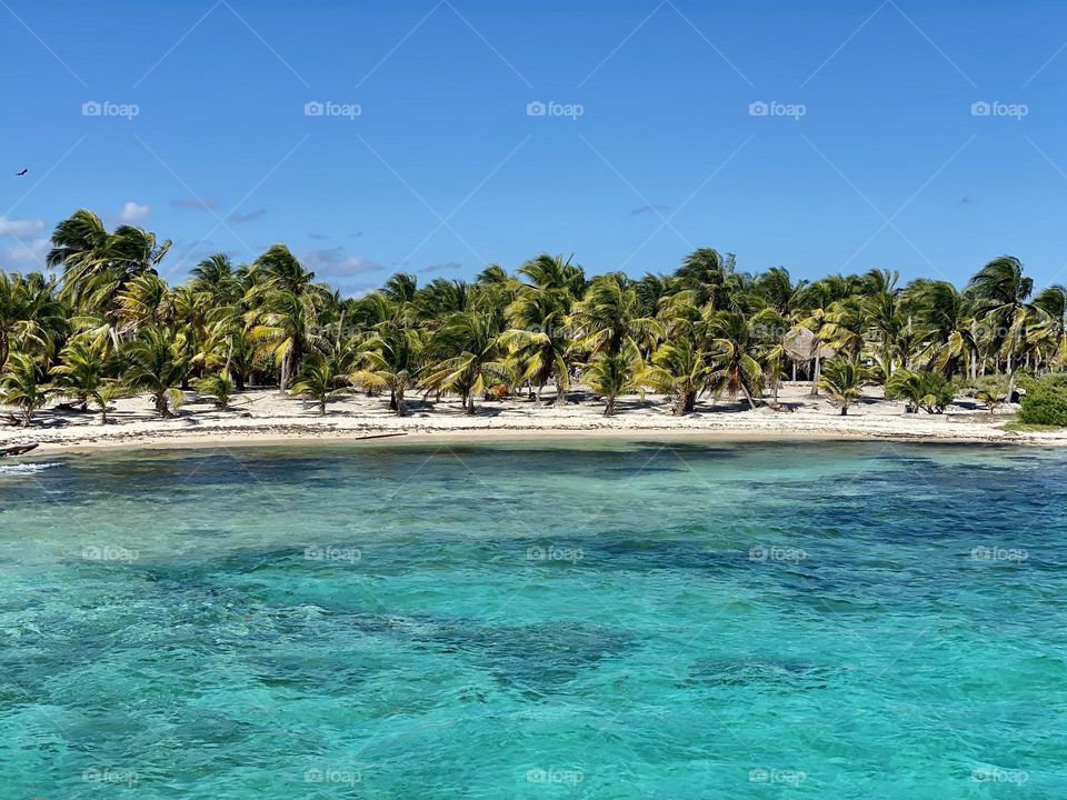 Palm trees lining a sandy beach and clear turquoise water