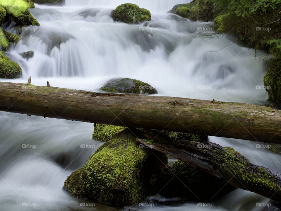 Moss covered rocks and logs in a waterfall in the woods of Southern Oregon on a nice spring day. 