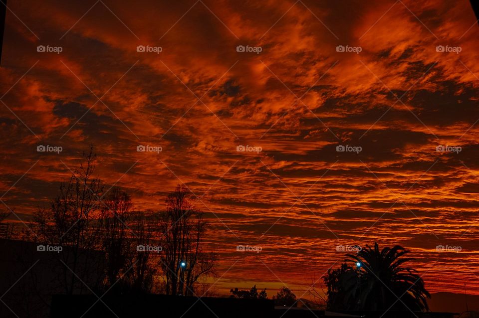 Sky on fire 